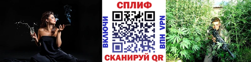 Канабис тримм где купить наркоту Вытегра
